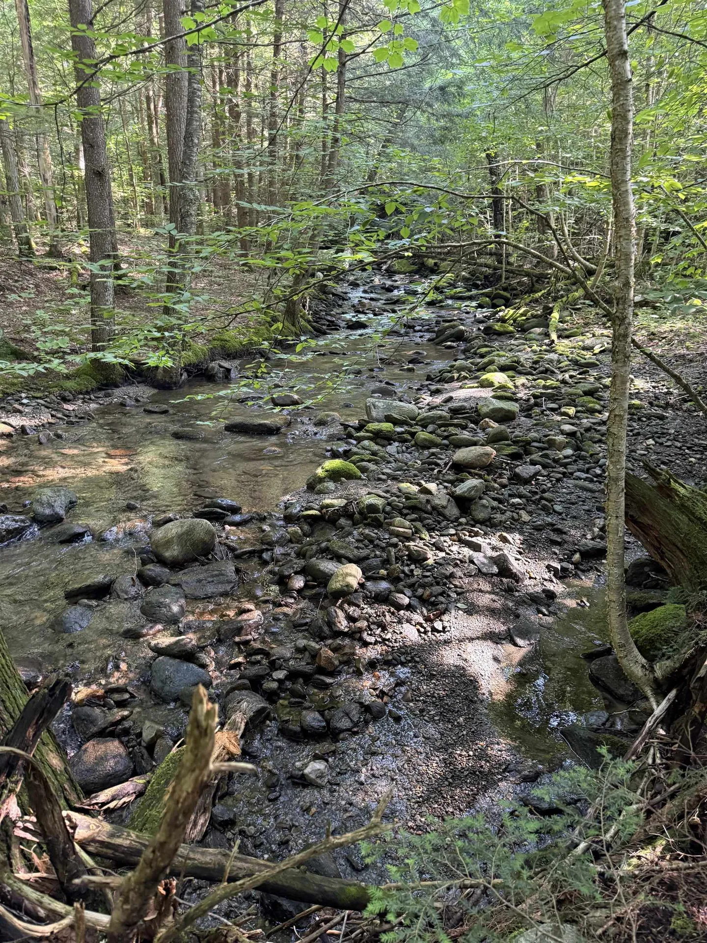 - Hannah Clark Brook Road Montgomery VT 05471