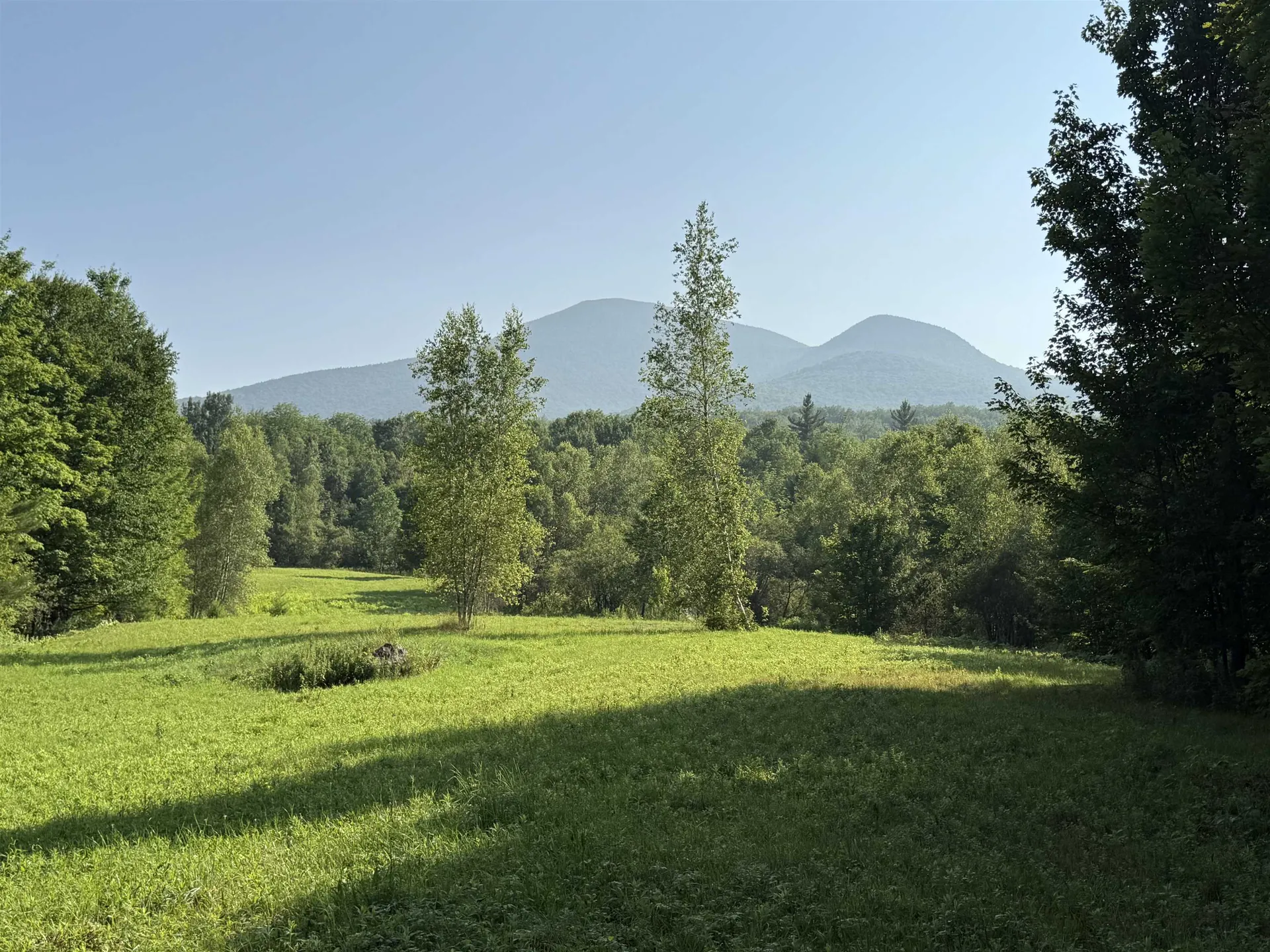 - Hannah Clark Brook Road Montgomery VT 05471