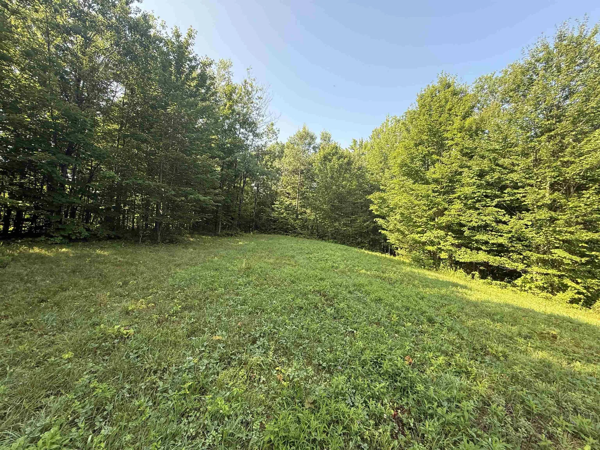 - Hannah Clark Brook Road Montgomery VT 05471