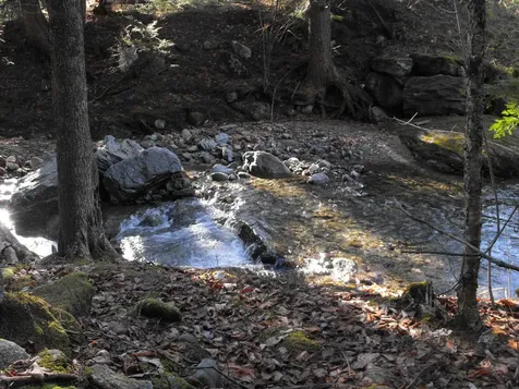 - Hannah Clark Brook Road Montgomery VT 05471