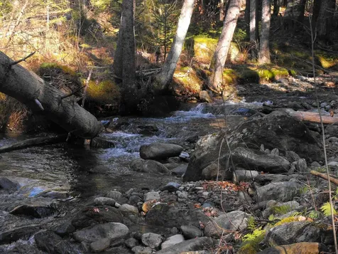 - Hannah Clark Brook Road Montgomery VT 05471