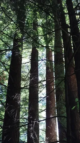 - Hannah Clark Brook Road Montgomery VT 05471