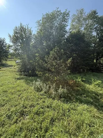 - Hannah Clark Brook Road Montgomery VT 05471