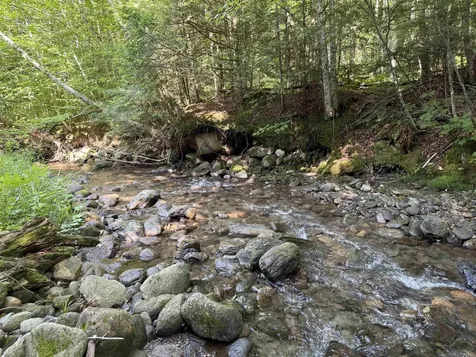 - Hannah Clark Brook Road Montgomery VT 05471