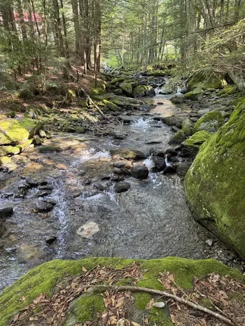 - Hannah Clark Brook Road Montgomery VT 05471