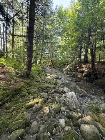 - Hannah Clark Brook Road Montgomery VT 05471