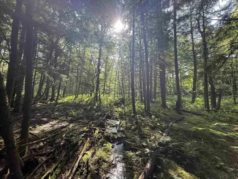 - Hannah Clark Brook Road Montgomery VT 05471