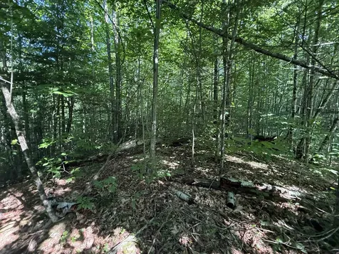 - Hannah Clark Brook Road Montgomery VT 05471