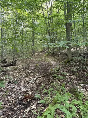 - Hannah Clark Brook Road Montgomery VT 05471