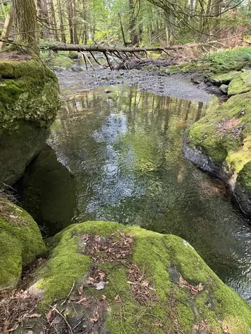 - Hannah Clark Brook Road Montgomery VT 05471