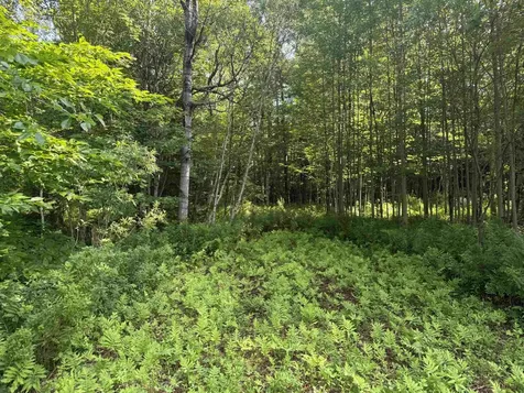 - Hannah Clark Brook Road Montgomery VT 05471