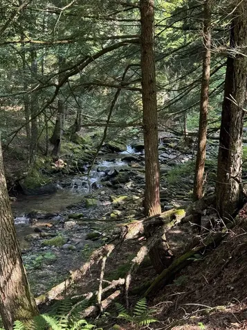 - Hannah Clark Brook Road Montgomery VT 05471