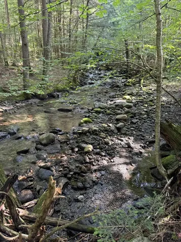 - Hannah Clark Brook Road Montgomery VT 05471