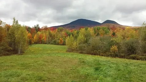 - Hannah Clark Brook Road Montgomery VT 05471