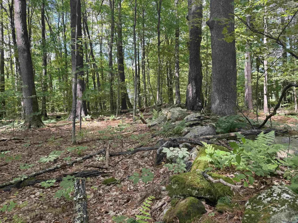 0 Havoc Hill Road Dorset VT 05253