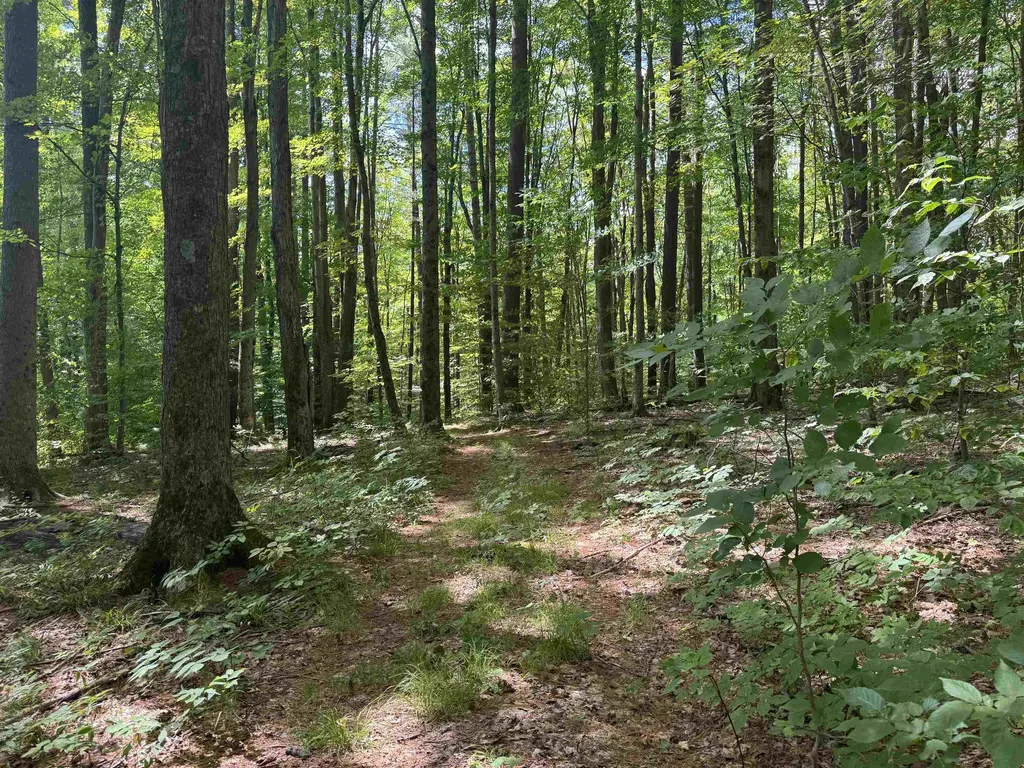 0 Havoc Hill Road Dorset VT 05253