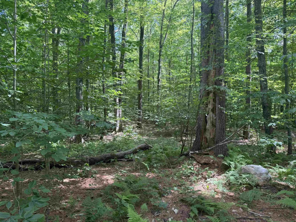 0 Havoc Hill Road Dorset VT 05253