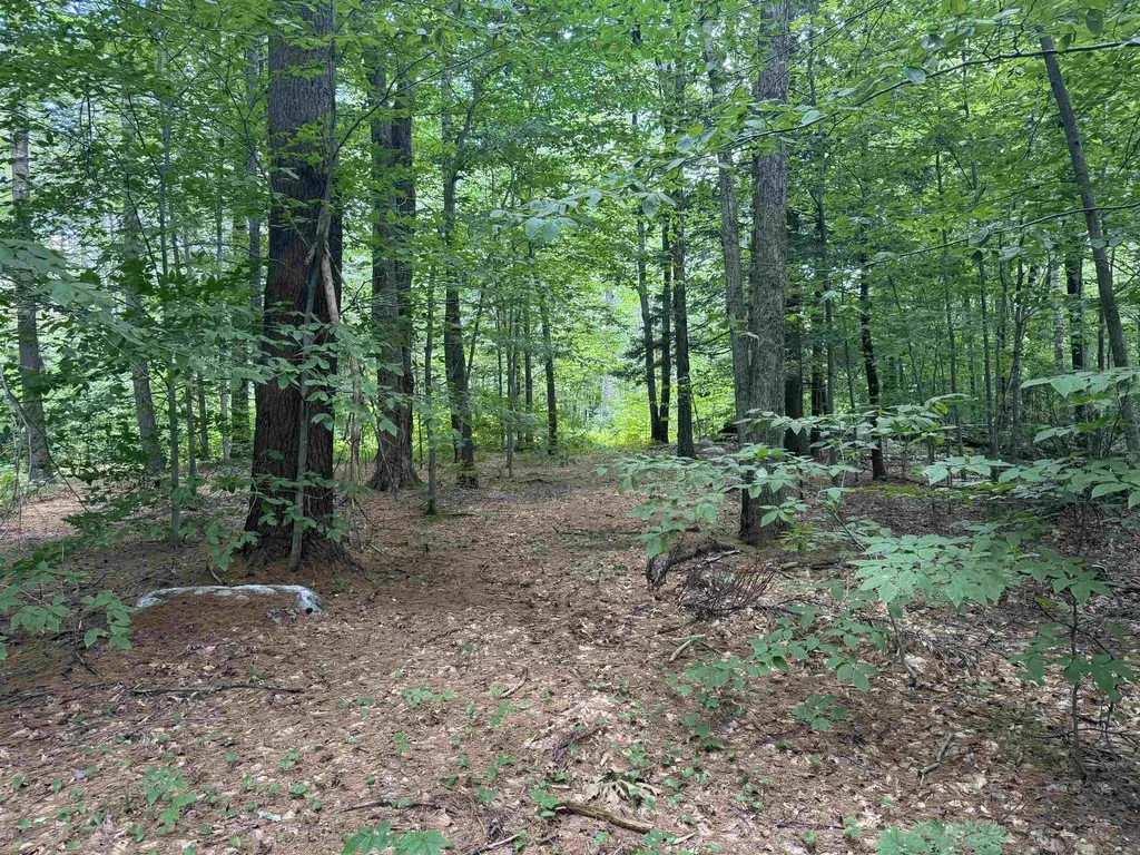 0 Havoc Hill Road Dorset VT 05253