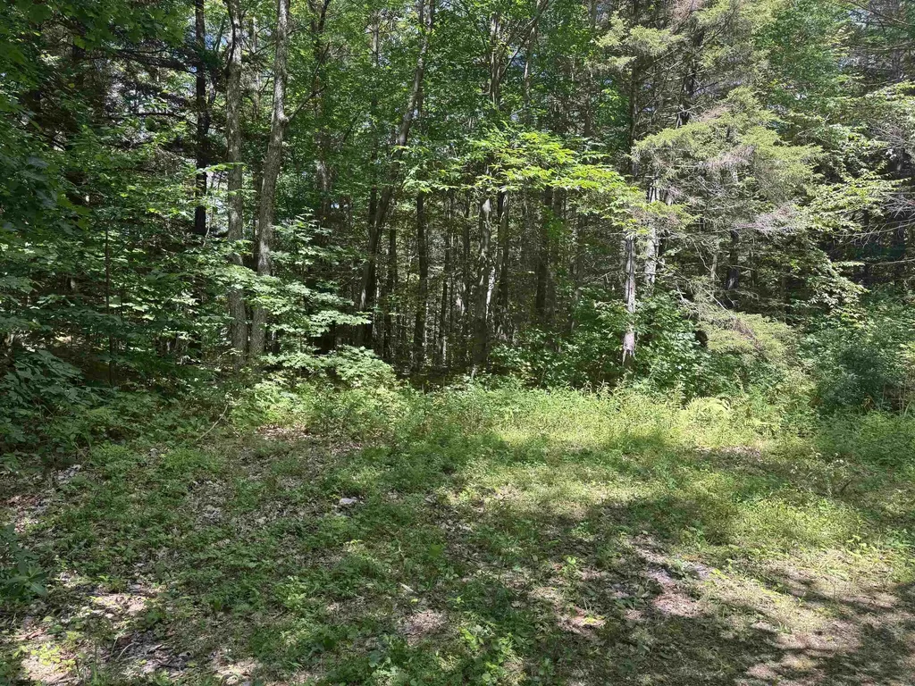 0 Havoc Hill Road Dorset VT 05253