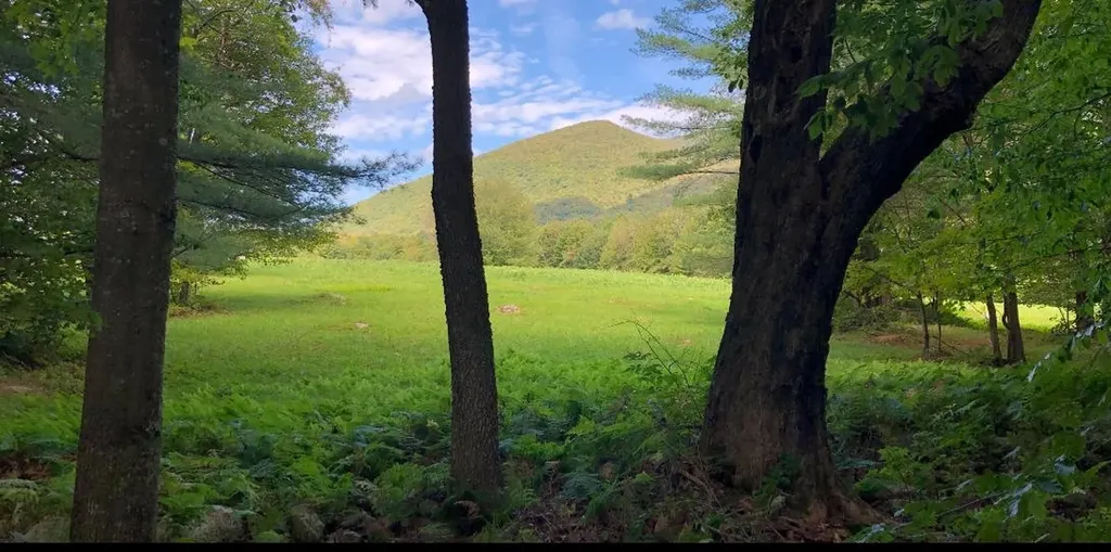 0 Havoc Hill Road Dorset VT 05253