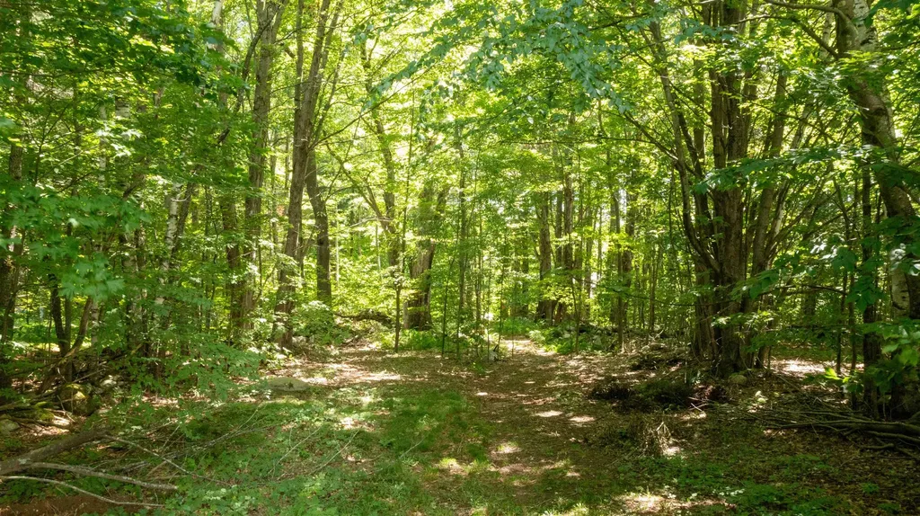 0 Havoc Hill Road Dorset VT 05253