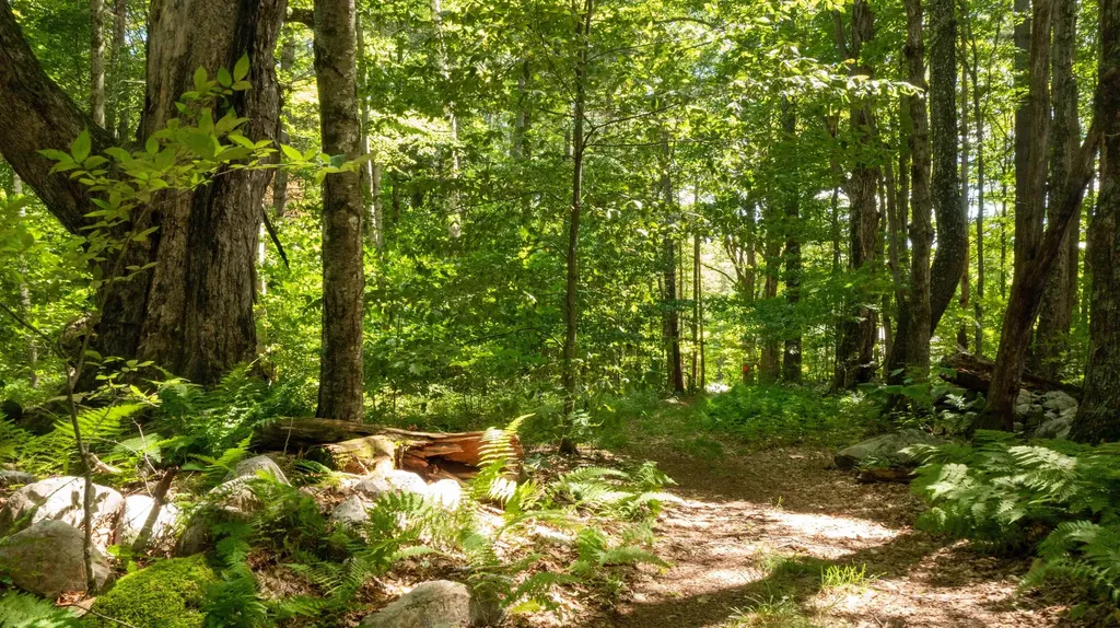 0 Havoc Hill Road Dorset VT 05253