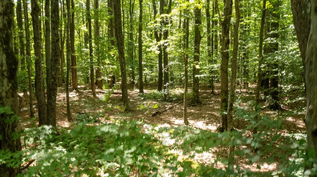 0 Havoc Hill Road Dorset VT 05253