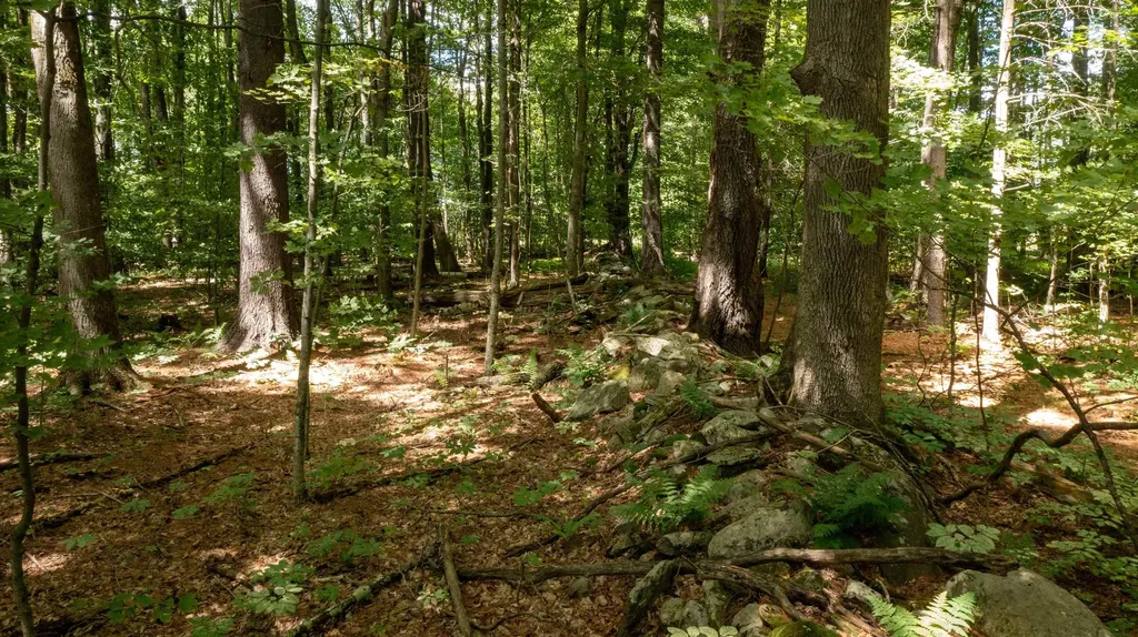 0 Havoc Hill Road Dorset VT 05253