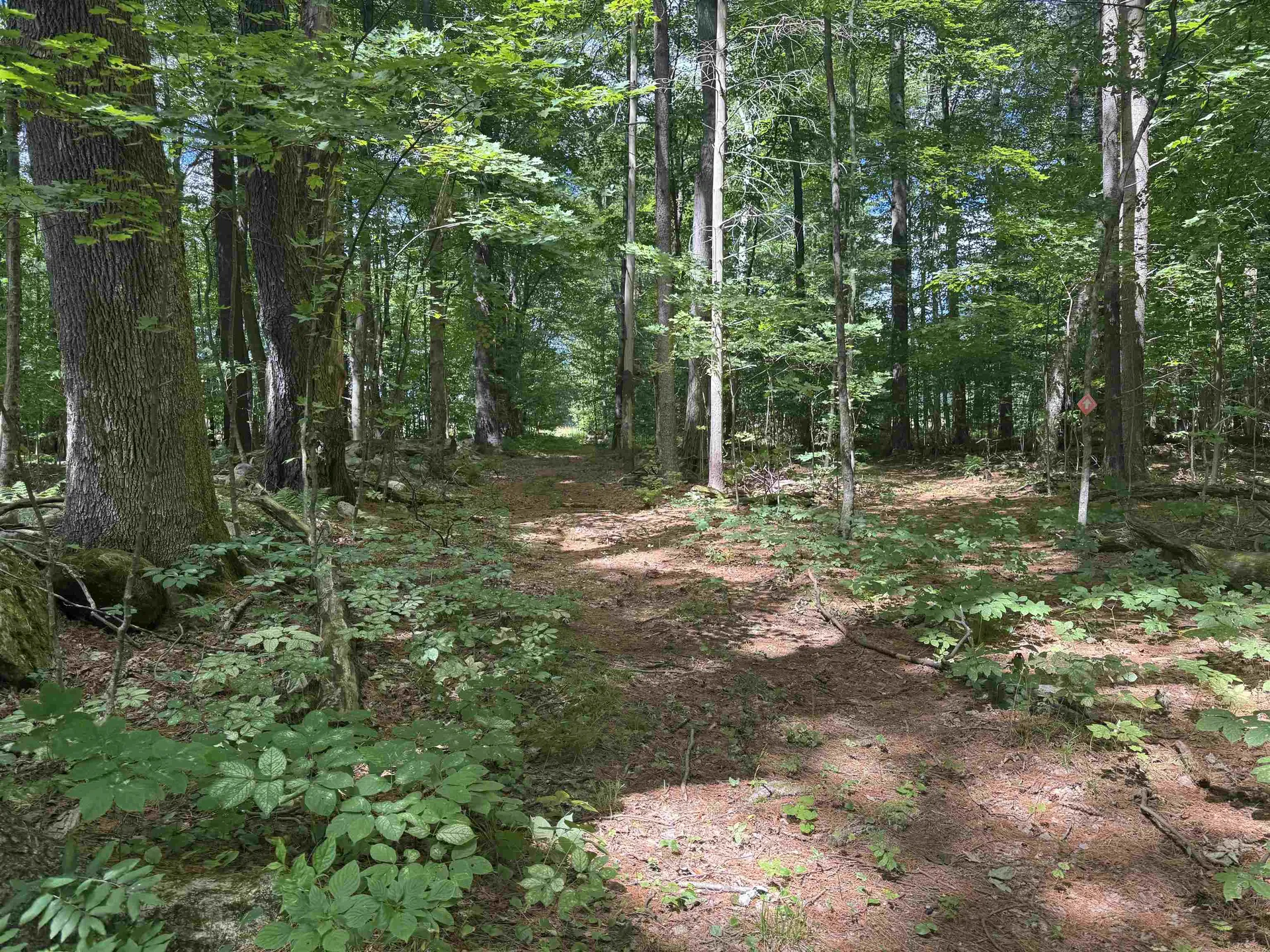 0 Havoc Hill Road Dorset VT 05253