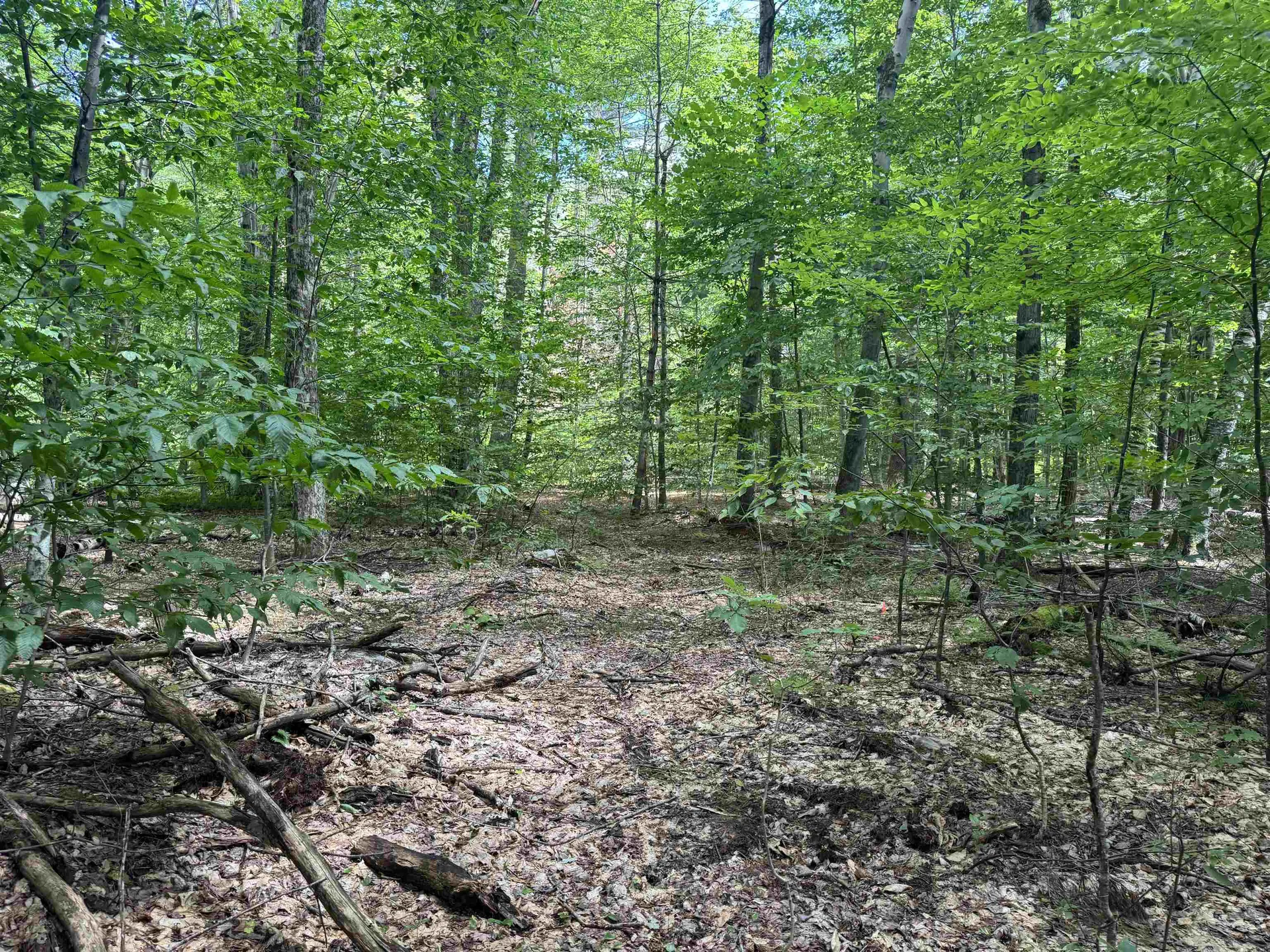 0 Havoc Hill Road Dorset VT 05253