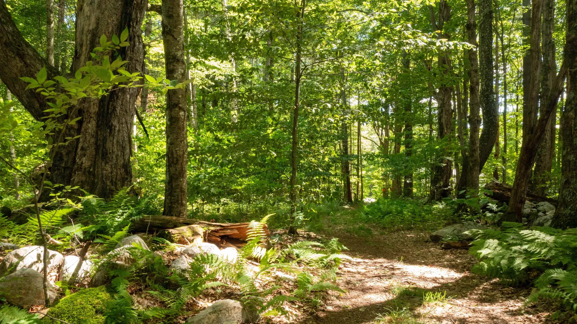 0 Havoc Hill Road Dorset VT 05253