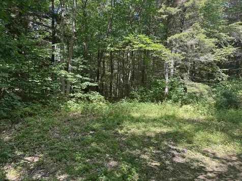 0 Havoc Hill Road Dorset VT 05253