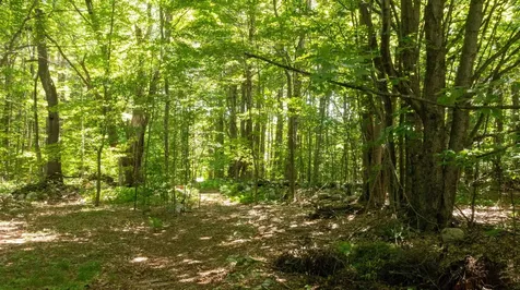 0 Havoc Hill Road Dorset VT 05253