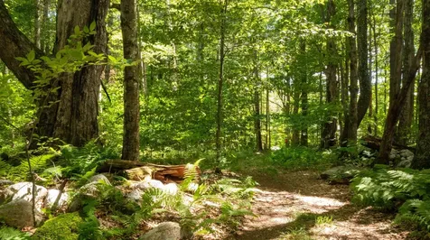 0 Havoc Hill Road Dorset VT 05253