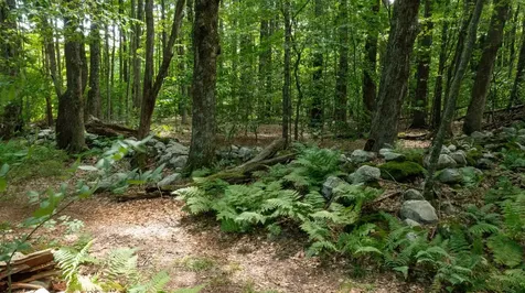 0 Havoc Hill Road Dorset VT 05253