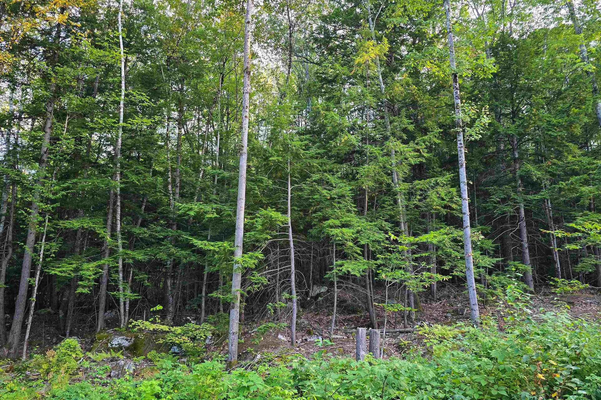 910 Page Hill Road Tamworth NH 03817