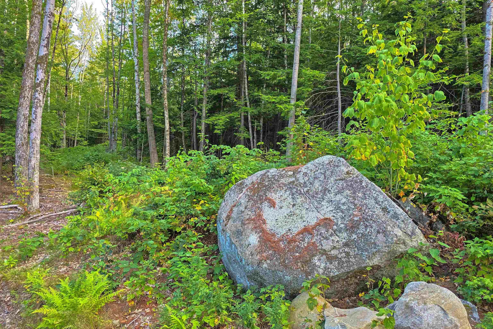 910 Page Hill Road Tamworth NH 03817