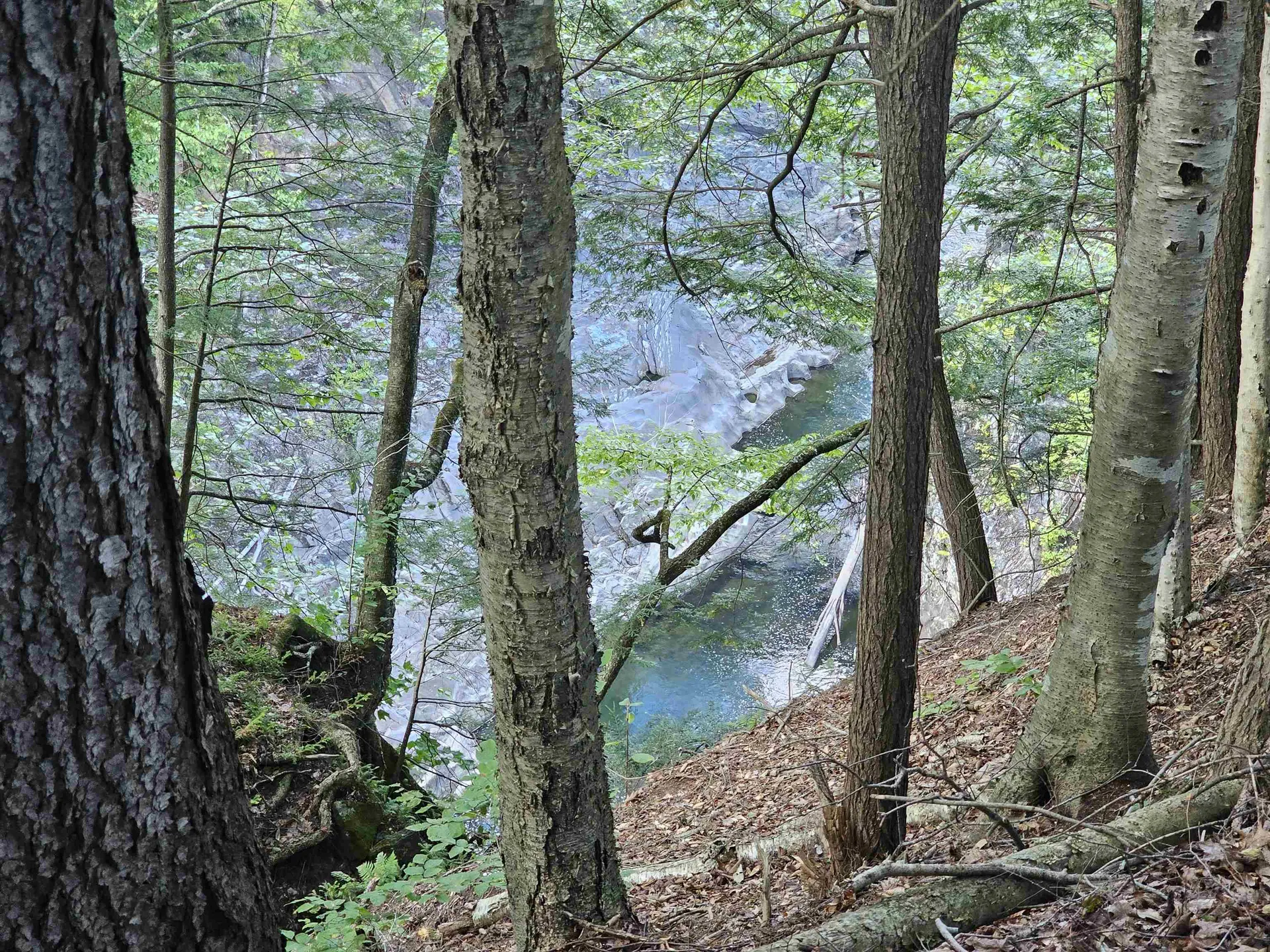 2137 Brockway Mills Road Rockingham VT 05143