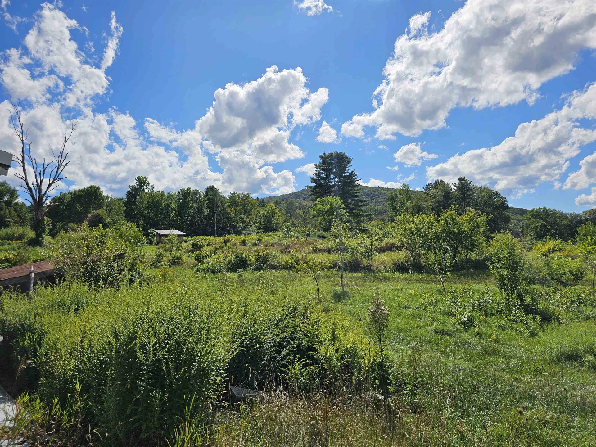 2137 Brockway Mills Road Rockingham VT 05143