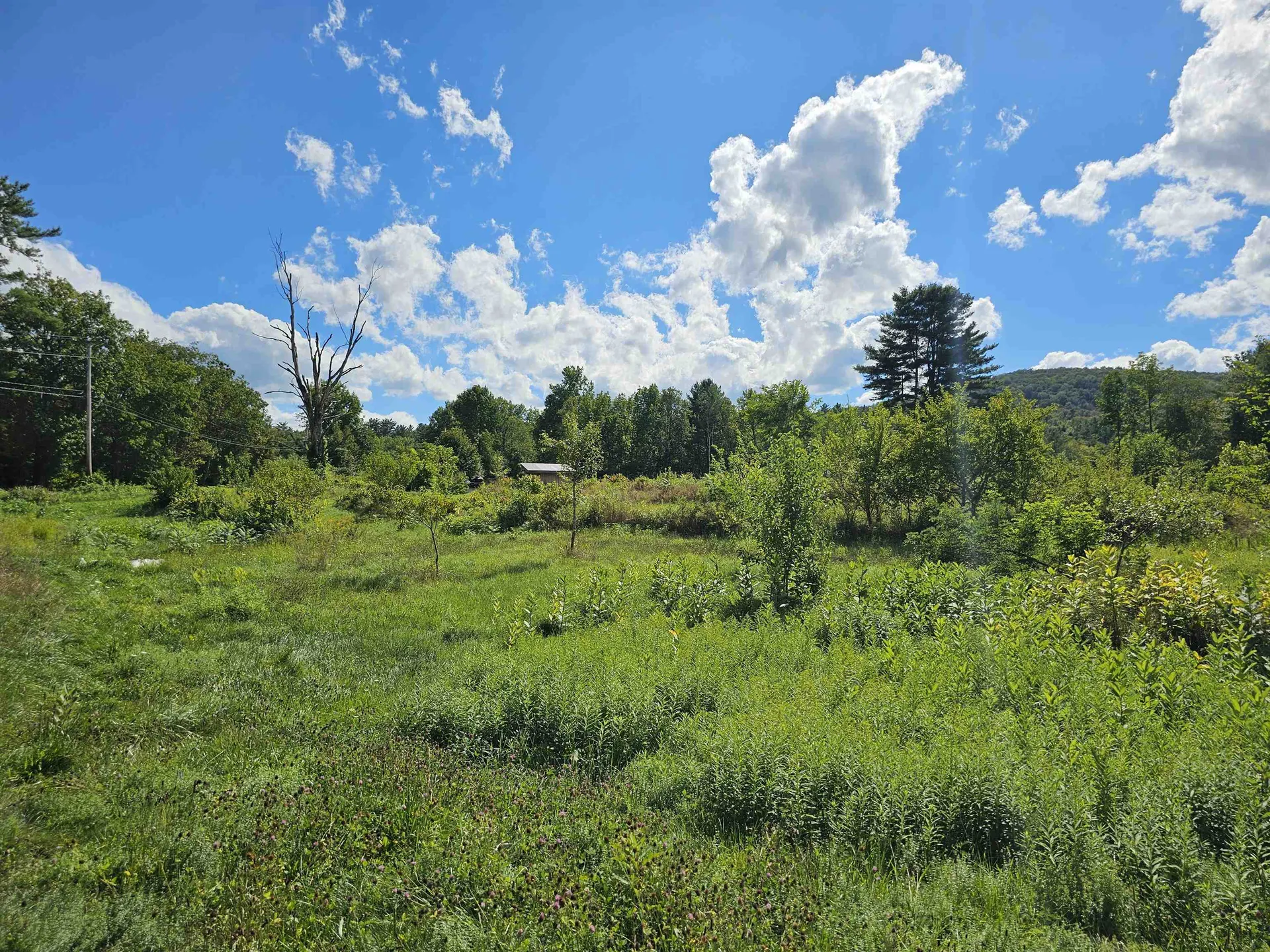 2137 Brockway Mills Road Rockingham VT 05143