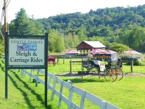 608B Topnotch Road Stowe VT 05672