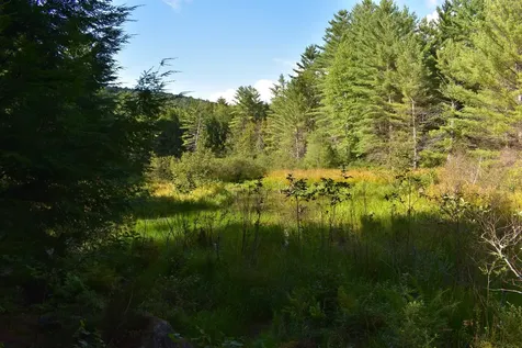 Bald Mountain Road Rumney NH 03266