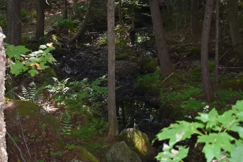 Bald Mountain Road Rumney NH 03266