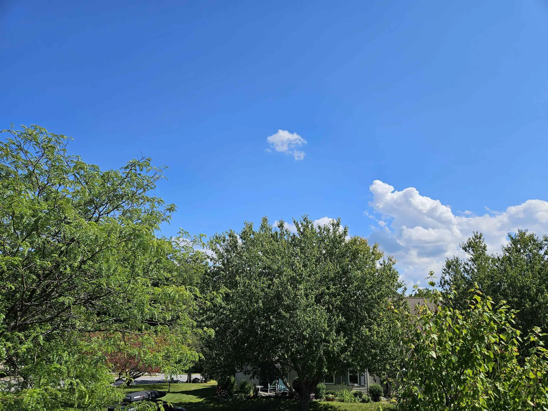 1204 The Terraces Drive Shelburne VT 05482-6668