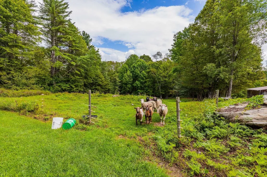 157 Dartt Hill Road Bethel VT 05032