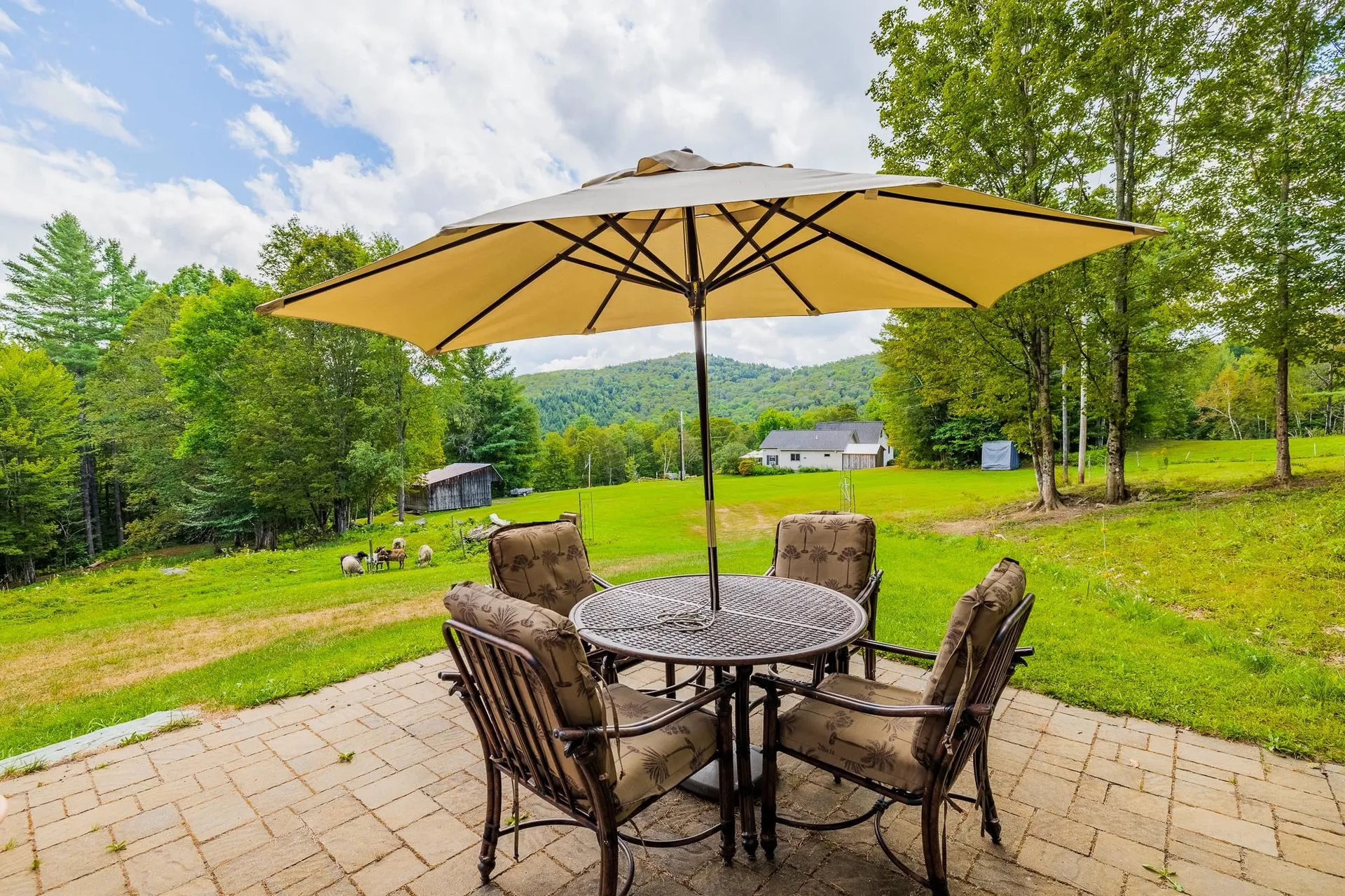 157 Dartt Hill Road Bethel VT 05032