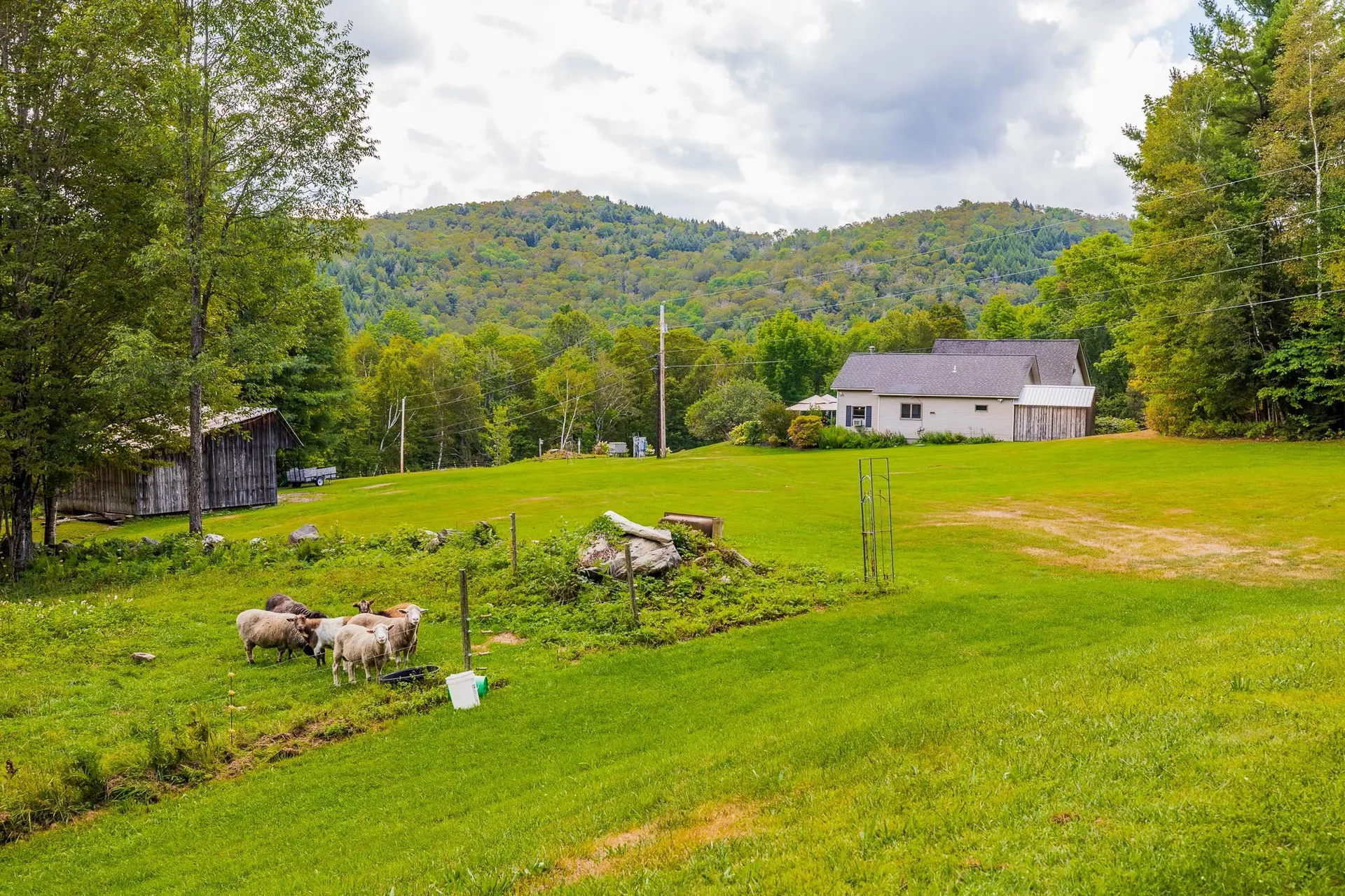 157 Dartt Hill Road Bethel VT 05032