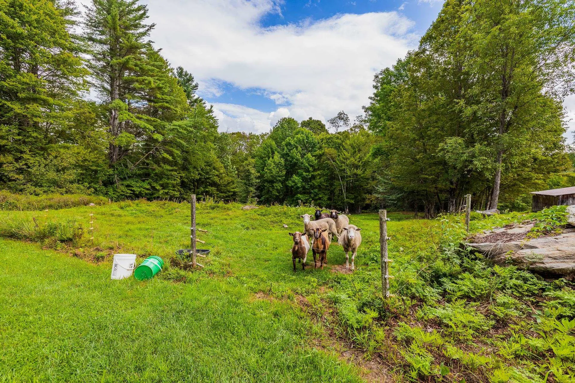 157 Dartt Hill Road Bethel VT 05032