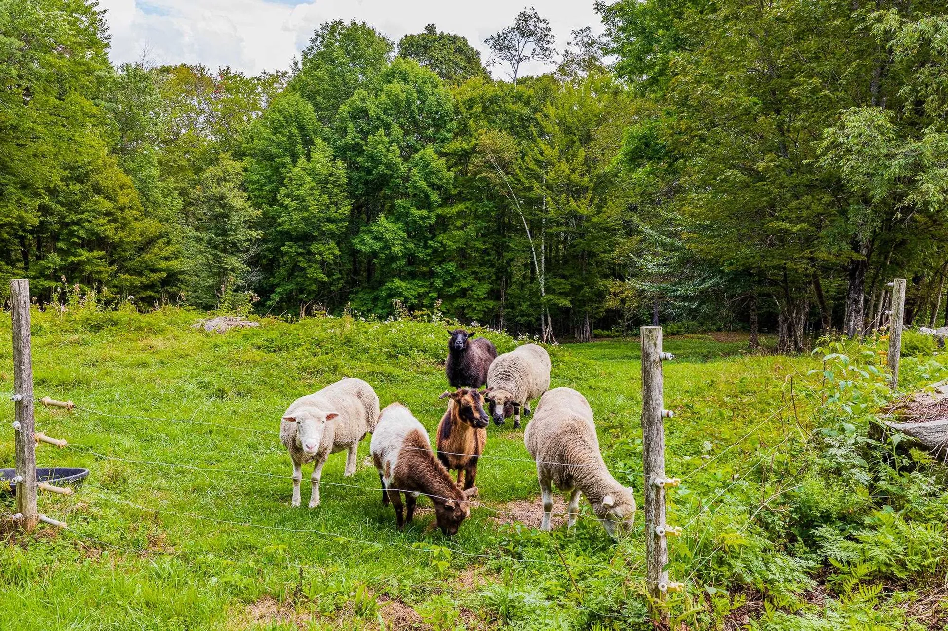 157 Dartt Hill Road Bethel VT 05032