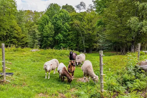 157 Dartt Hill Road Bethel VT 05032